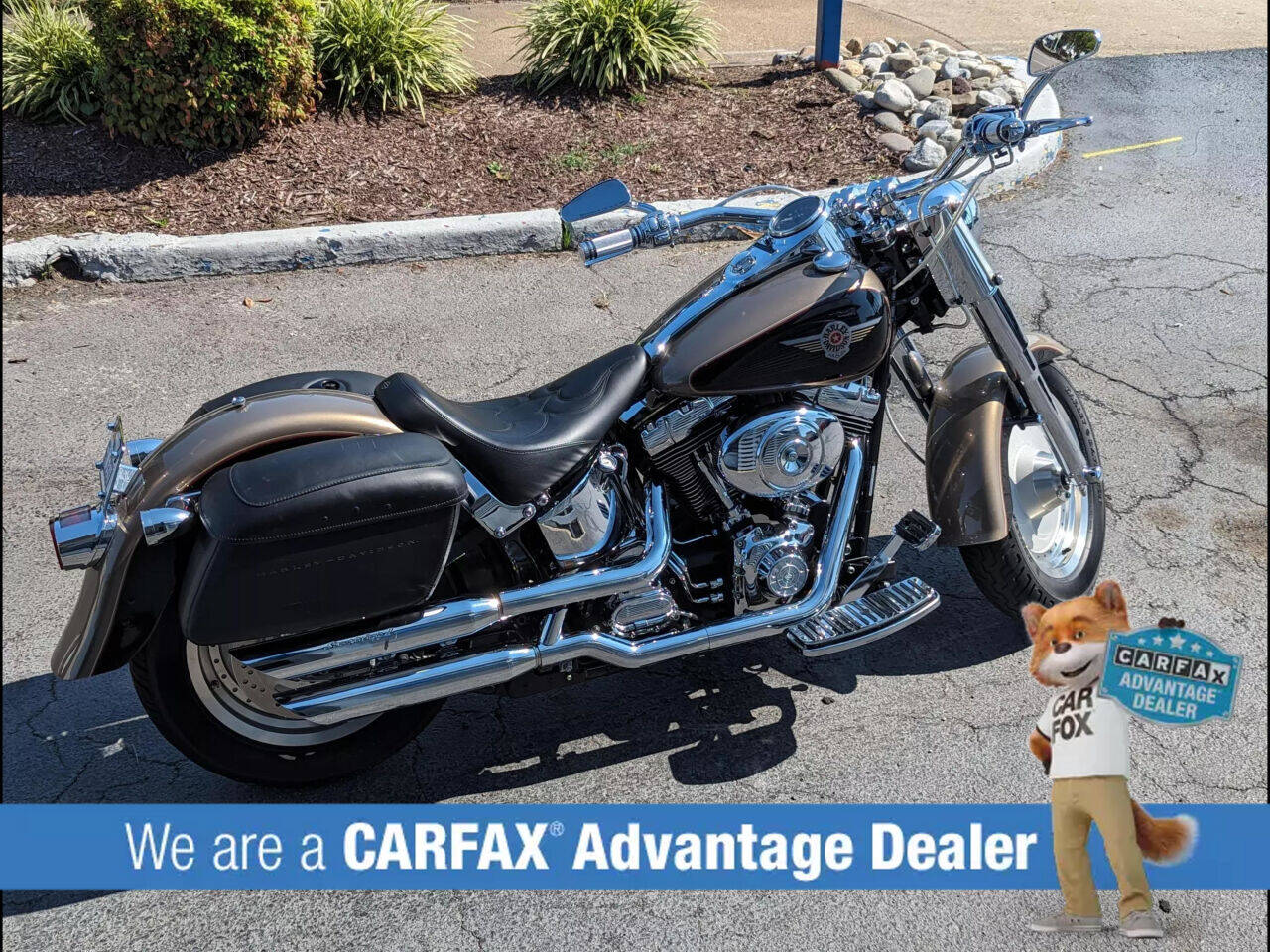 carfax harley davidson