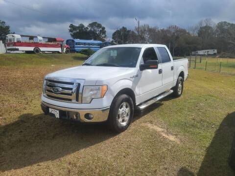 2012 Ford F-150 for sale at Lakeview Auto Sales LLC in Sycamore GA