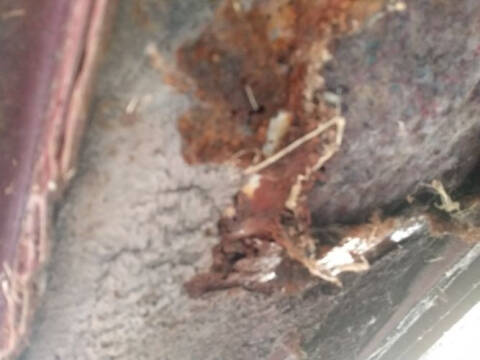 1966 Ford Thunderbird