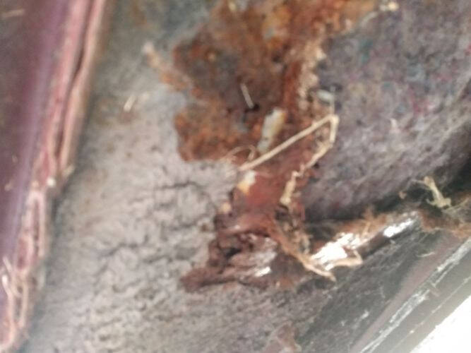 1966 Ford Thunderbird