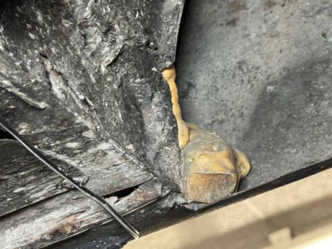 1956 Nash Metropolitan