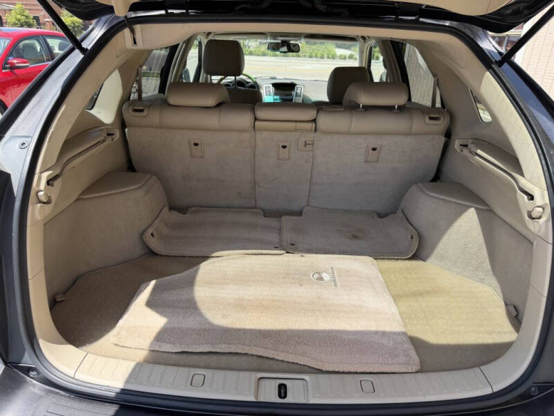 2009 Lexus RX 350