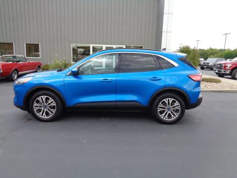 2021 Ford Escape for sale at Herman Motors in Luverne MN