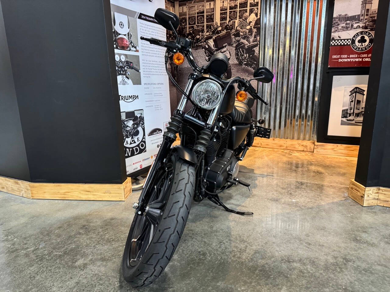 2022 Harley-Davidson XL 883 Sportster for sale at TEXAS MOTORS POWERSPORT in ORLANDO, FL