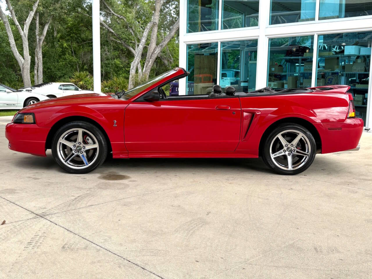1999 Ford Mustang SVT Cobra 10