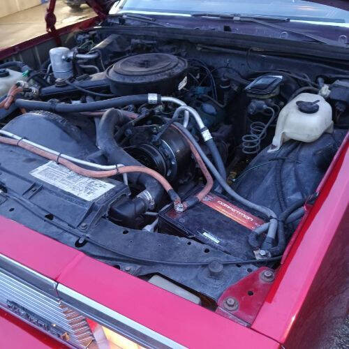 1981 Chevrolet Malibu