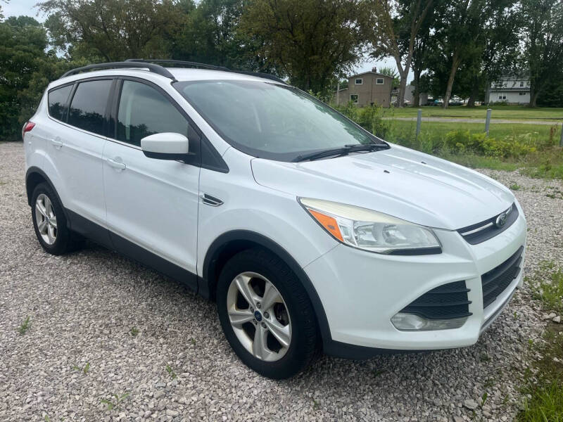 2013 Ford Escape for sale at HEDGES USED CARS in Carleton MI