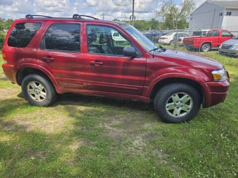 2007 Ford Escape for sale at Expressway Auto Auction in Howard City MI