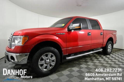 2012 Ford F-150 for sale at Danhof Motors in Manhattan MT