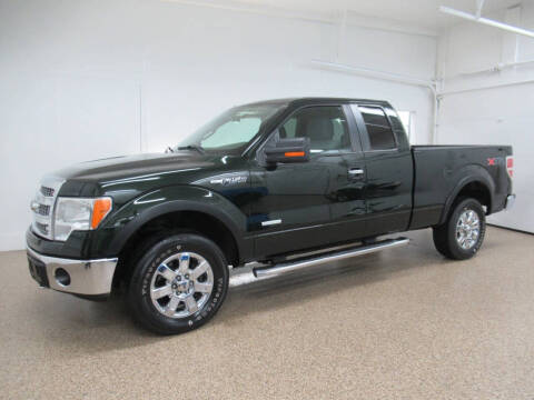 2014 Ford F-150 for sale at HTS Auto Sales in Hudsonville MI