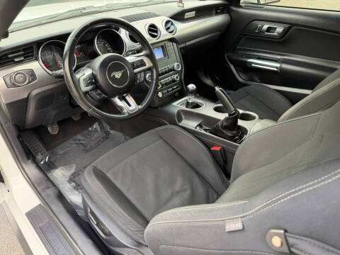 2019 Ford Mustang