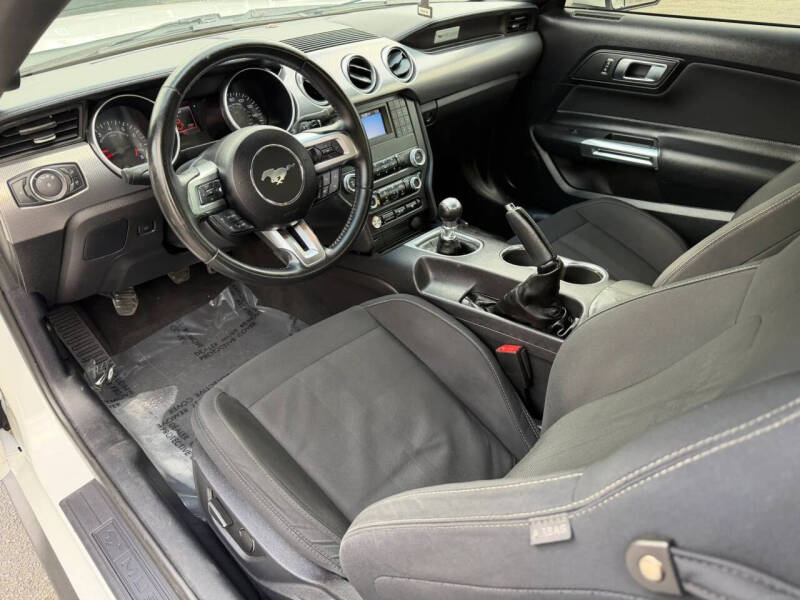 2019 Ford Mustang