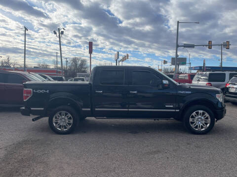 2013 Ford F-150 Platinum