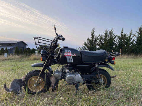 1983 Honda Gorilla