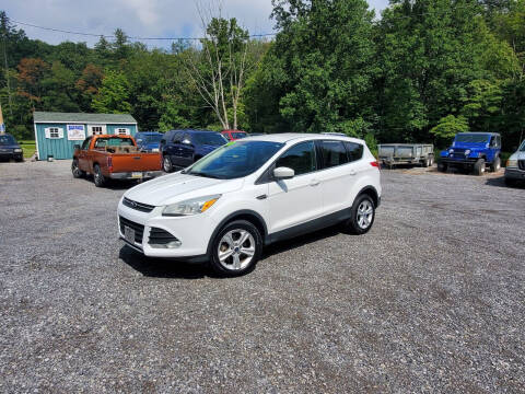 2013 Ford Escape for sale at BALD EAGLE AUTO SALES LLC in Mifflinburg PA