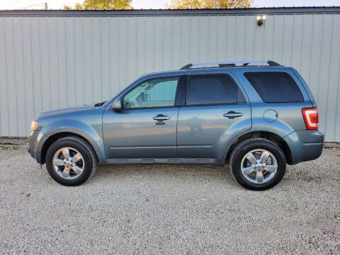2010 Ford Escape Limited