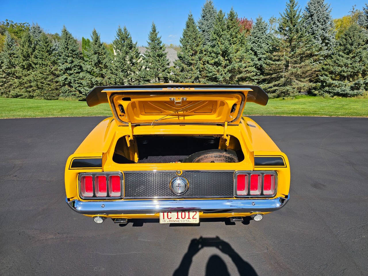 1970 Ford Mustang 233