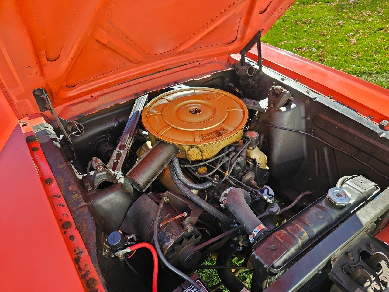 1965 Ford Mustang 323