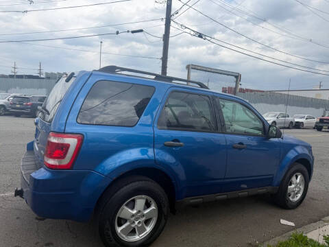 2011 Ford Escape XLT