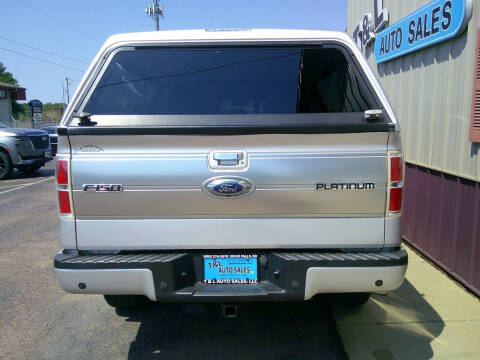 2013 Ford F-150 Platinum