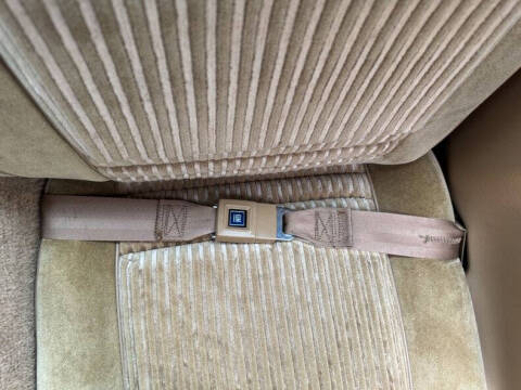 1981 Pontiac Firebird Trans Am