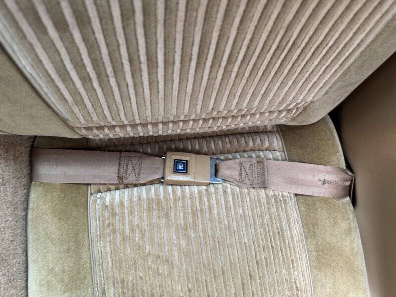 1981 Pontiac Firebird Trans Am