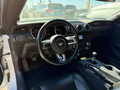 2019 Ford Mustang EcoBoost