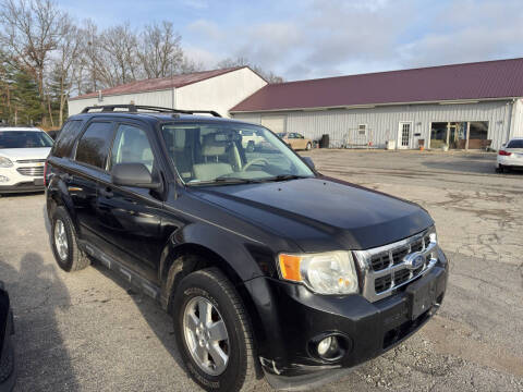 2011 Ford Escape XLT