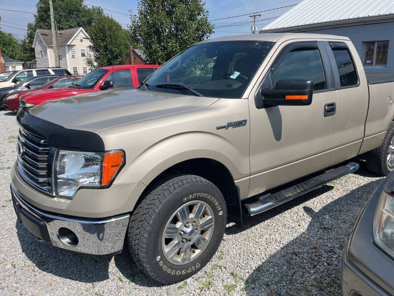2010 Ford F-150 for sale at David Shiveley in Mount Orab OH
