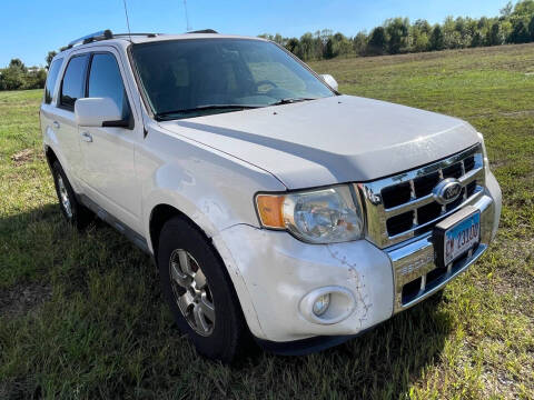 2011 Ford Escape Limited