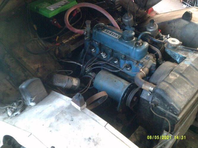 1959 Austin-Healey Sprite