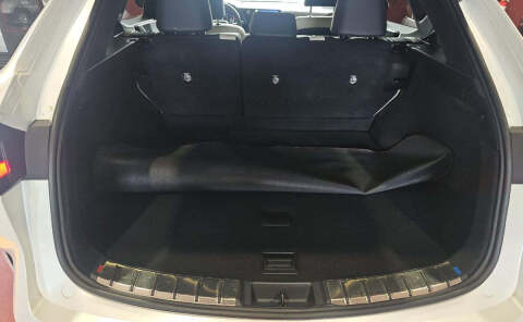 2024 Lexus NX 250 Premium