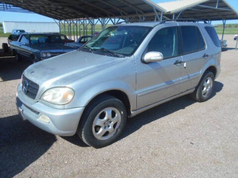 2003 Mercedes-Benz M-Class ML 320
