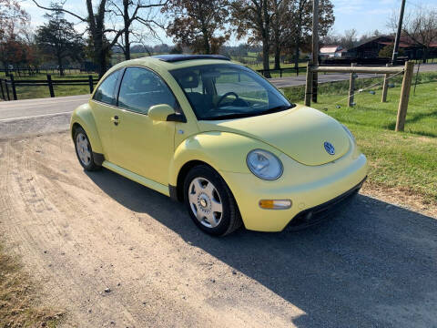 2001 Volkswagen New Beetle for sale at TRAVIS AUTOMOTIVE in Corryton TN