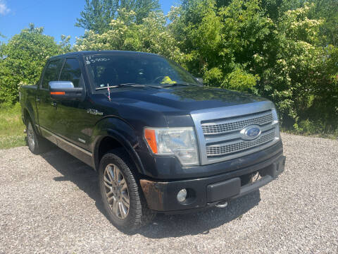 2011 Ford F-150 for sale at HEDGES USED CARS in Carleton MI