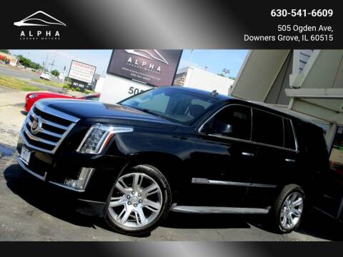 2015 Cadillac Escalade for sale at Alpha Luxury Motors in Downers Grove IL