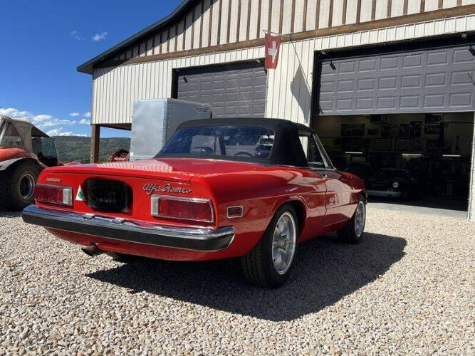 1972 Alfa Romeo Spider