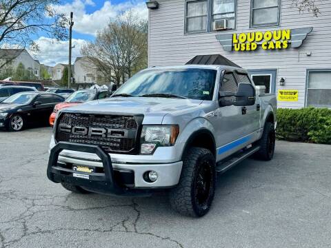 2011 Ford F-150 for sale at Loudoun Used Cars in Leesburg VA