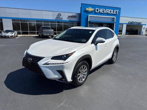 2019 Lexus NX 300 for sale at DOW AUTOPLEX in Mineola TX