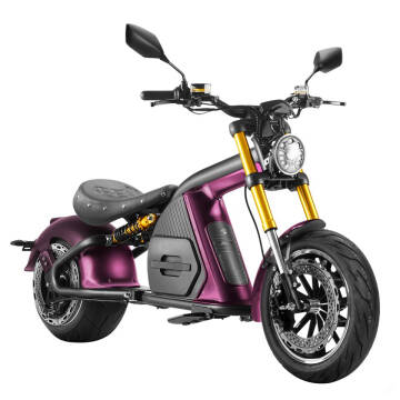 2022 EAHORA E - MOTORCYCLE M8S for sale at TEXAS MOTORS POWERSPORT in Orlando FL