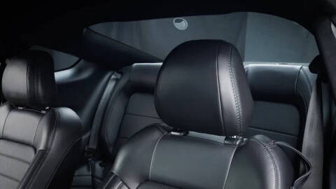 2019 Ford Mustang BULLITT