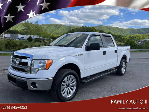 2013 Ford F-150 for sale at FAMILY AUTO II in Pounding Mill VA