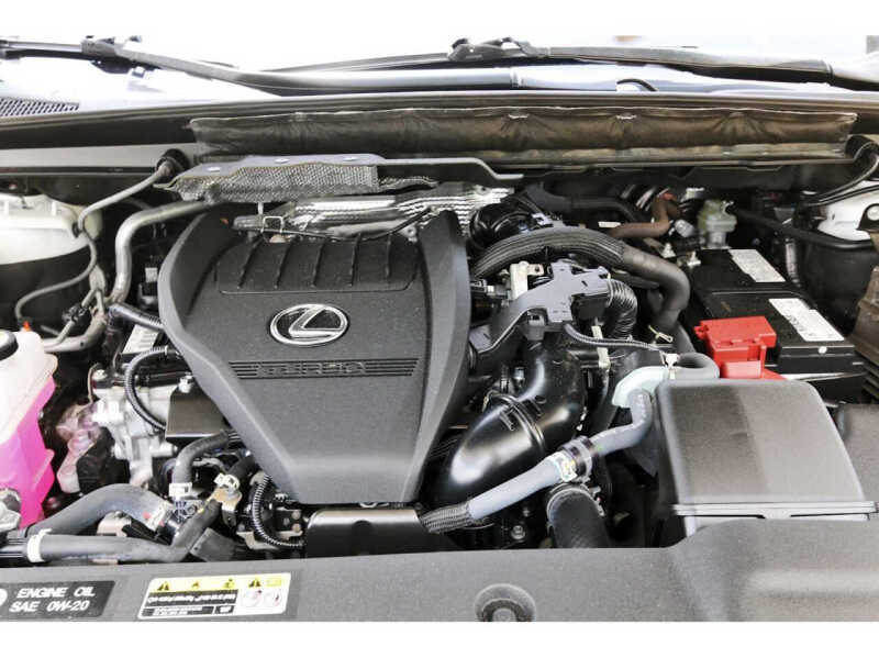 Click to enlarge