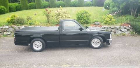 1985 Chevrolet S-10 for sale at Classic Car Deals in Cadillac MI