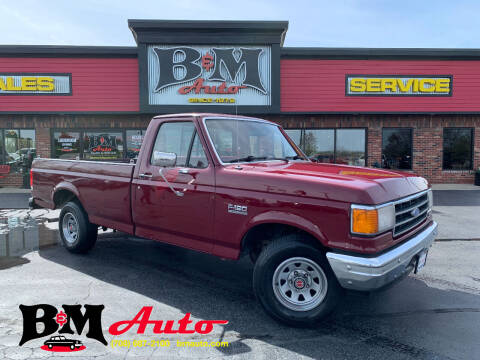 1989 Ford F-150 for sale at B & M Auto Sales Inc. in Oak Forest IL