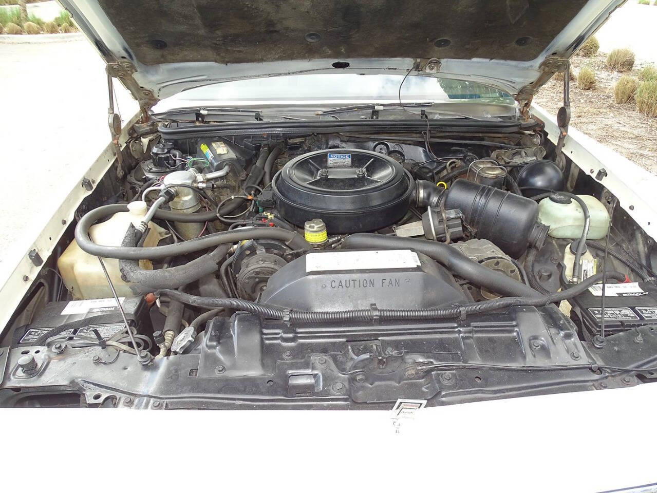 1985 Oldsmobile Cutlass Supreme 45