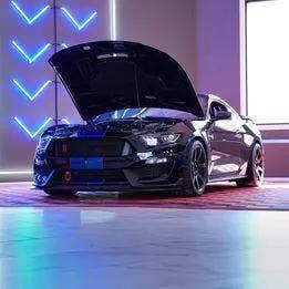 2017 Ford Mustang for sale at Torque Motorsports in Osage Beach MO