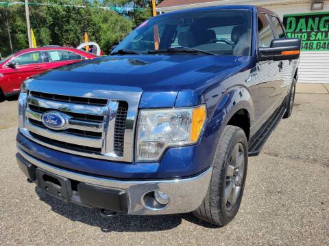 2010 Ford F-150 for sale at DANGO AUTO SALES in Howard City MI