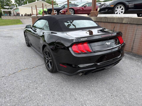 2019 Ford Mustang