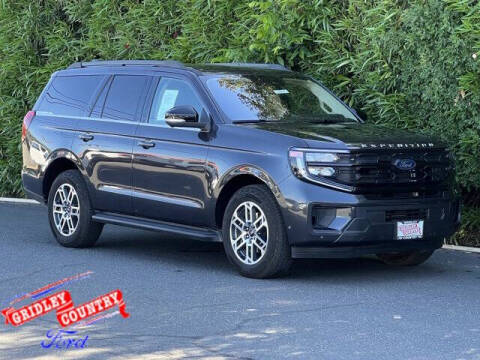 2025 Ford Expedition Active Photo